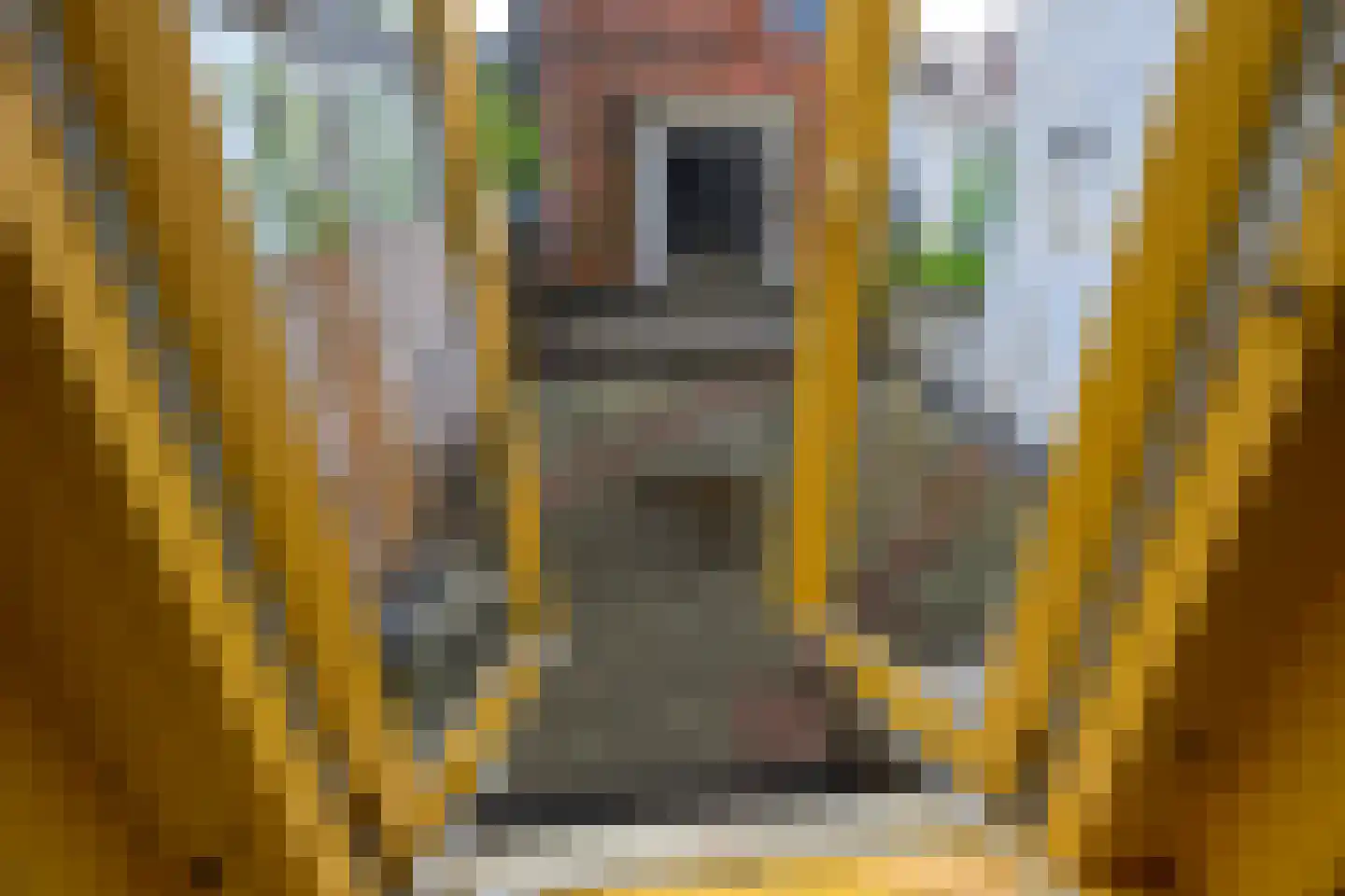 Noordeinde 35 Leiden thumbnail 32