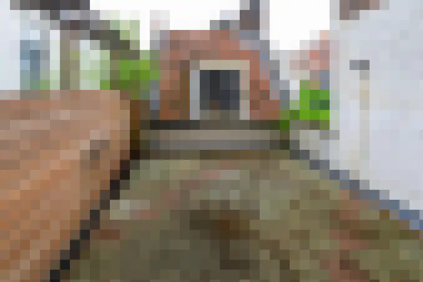 Noordeinde 35 Leiden thumbnail 33