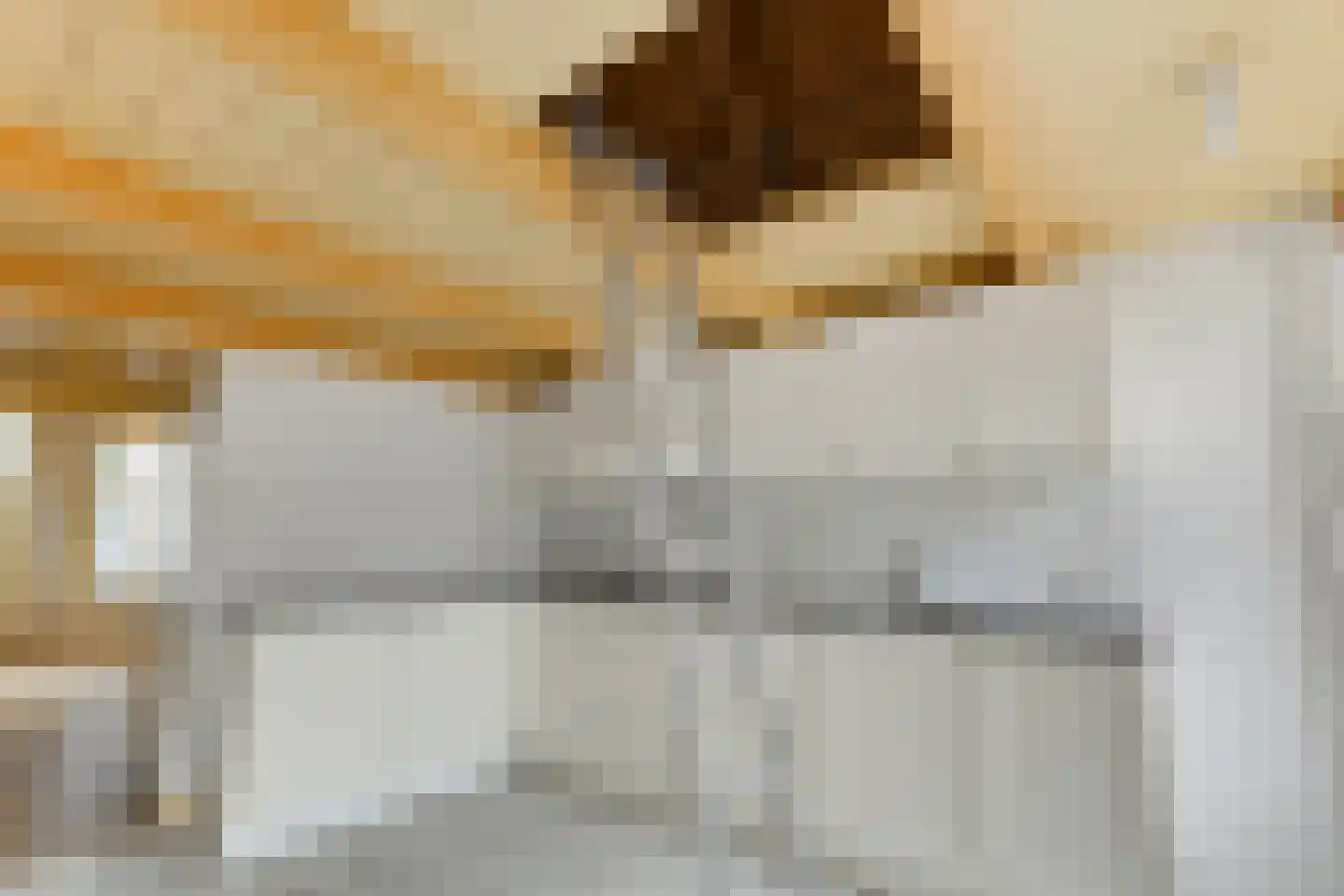 Noordeinde 35 Leiden thumbnail 34