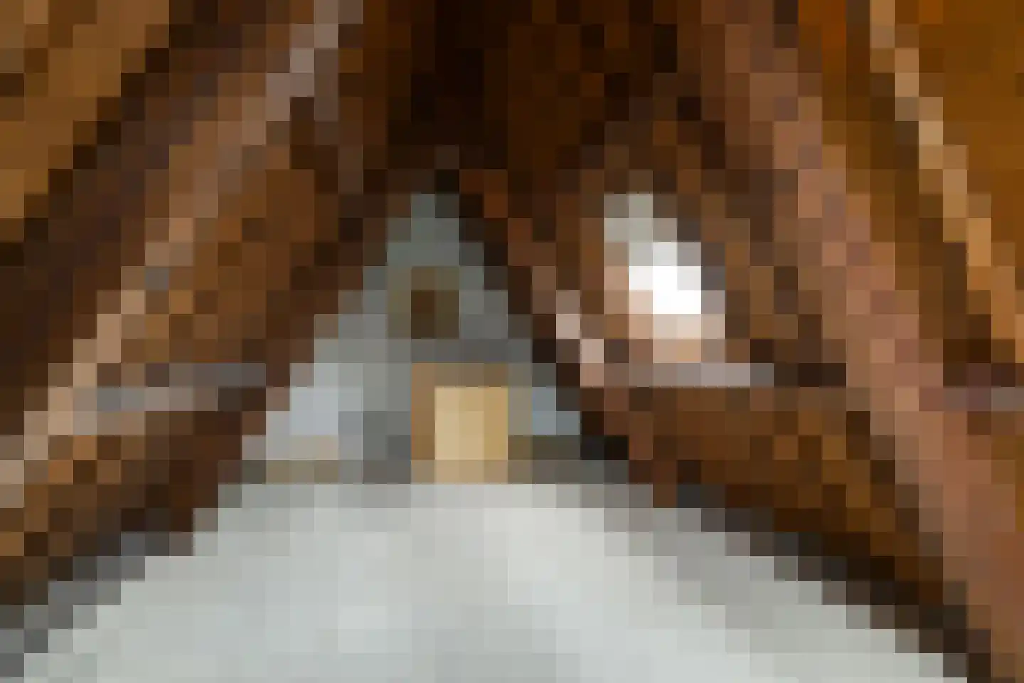 Noordeinde 35 Leiden thumbnail 41