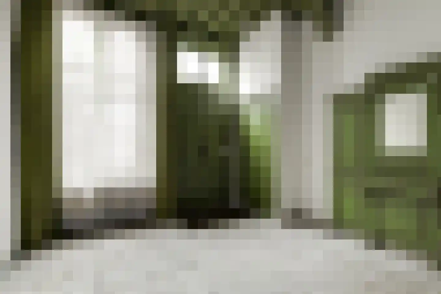 Noordeinde 35 Leiden thumbnail 7