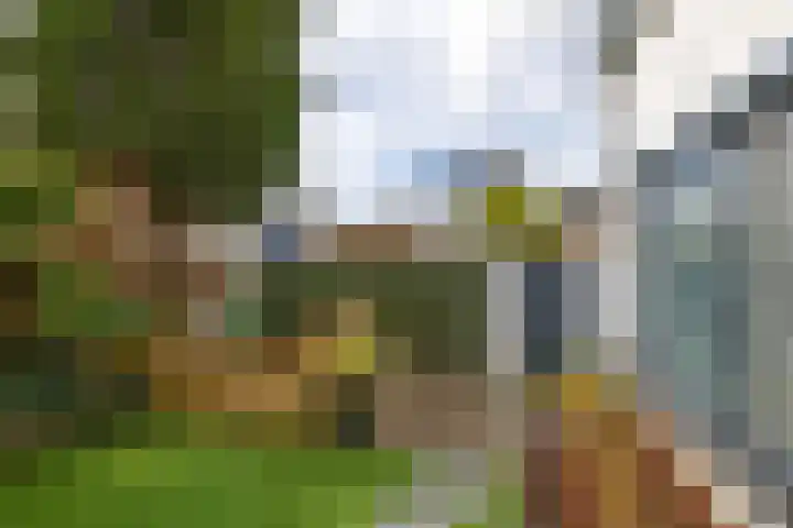 Noordeinde 36 Zwartewaal thumbnail 12