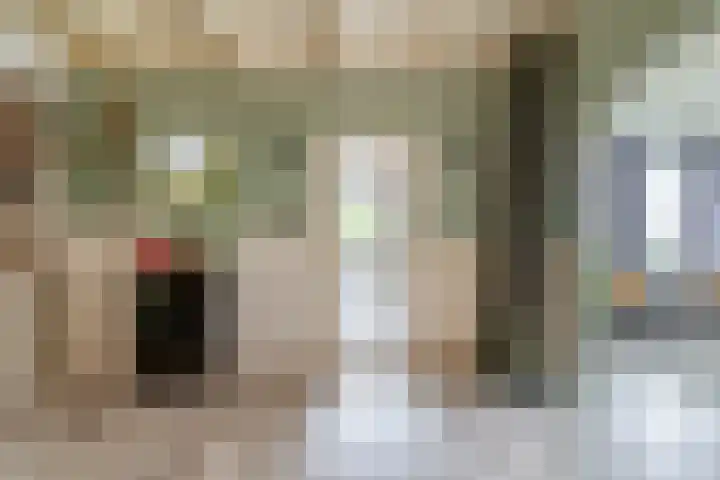 Noordeinde 36 Zwartewaal thumbnail 15
