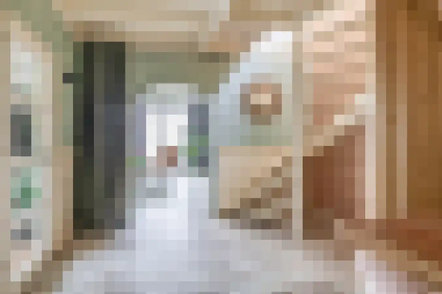 Noordeinde 36 Zwartewaal thumbnail 16