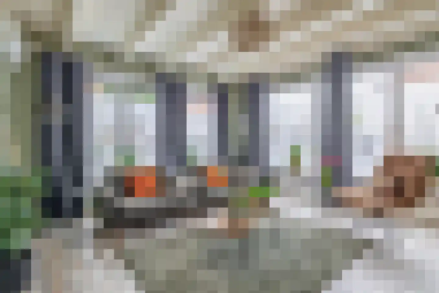 Noordeinde 36 Zwartewaal thumbnail 17