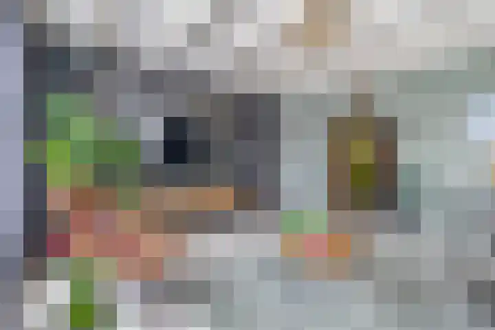 Noordeinde 36 Zwartewaal thumbnail 19