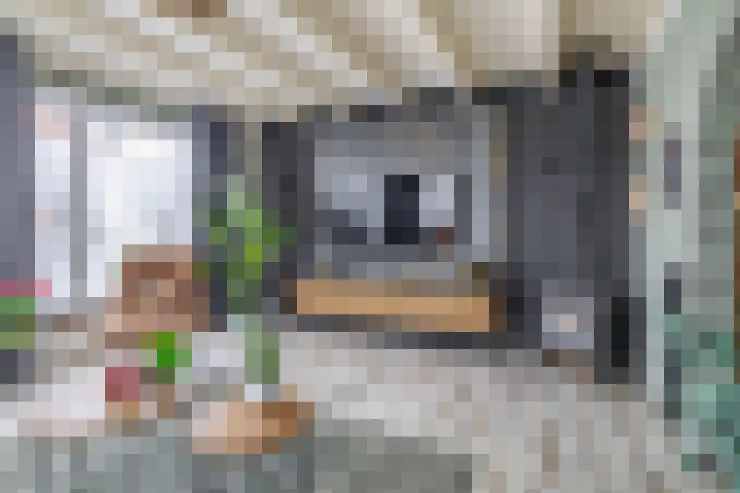 Noordeinde 36 Zwartewaal thumbnail 20