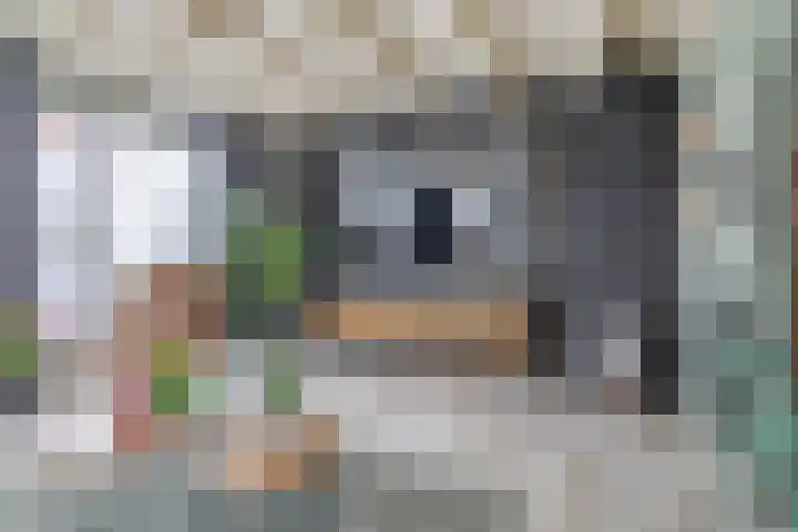 Noordeinde 36 Zwartewaal thumbnail 20