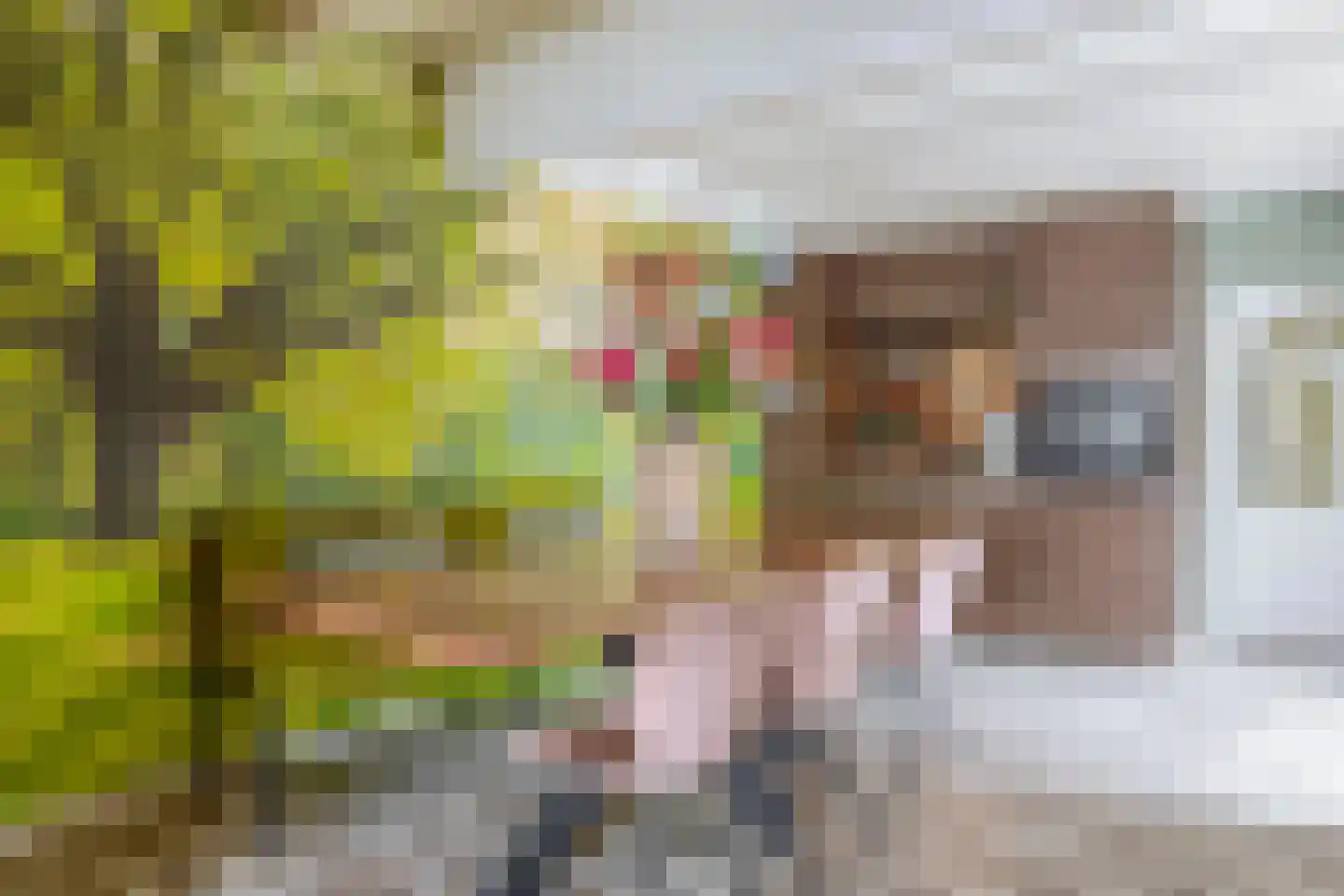 Noordeinde 36 Zwartewaal thumbnail 21