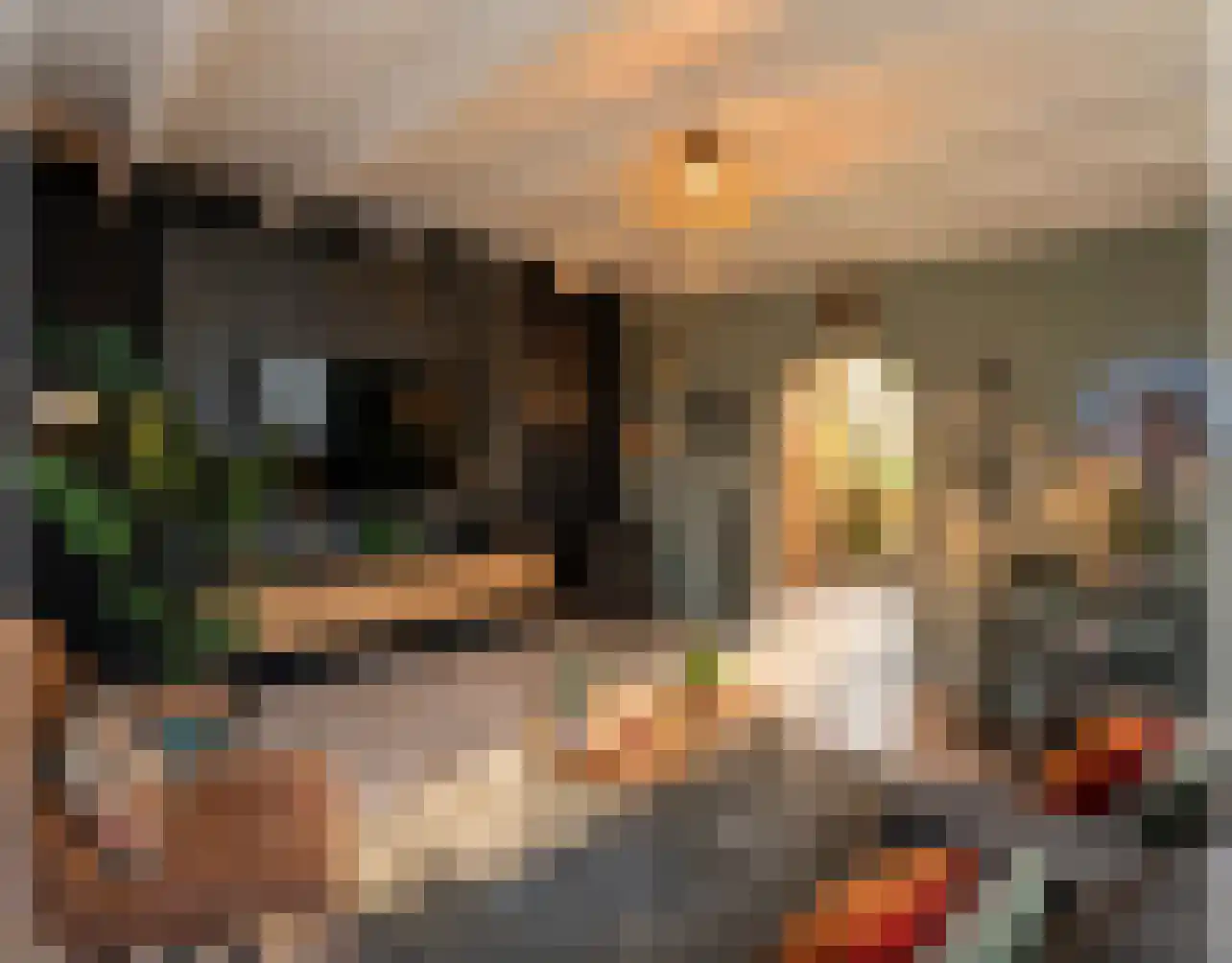 Noordeinde 36 Zwartewaal thumbnail 21
