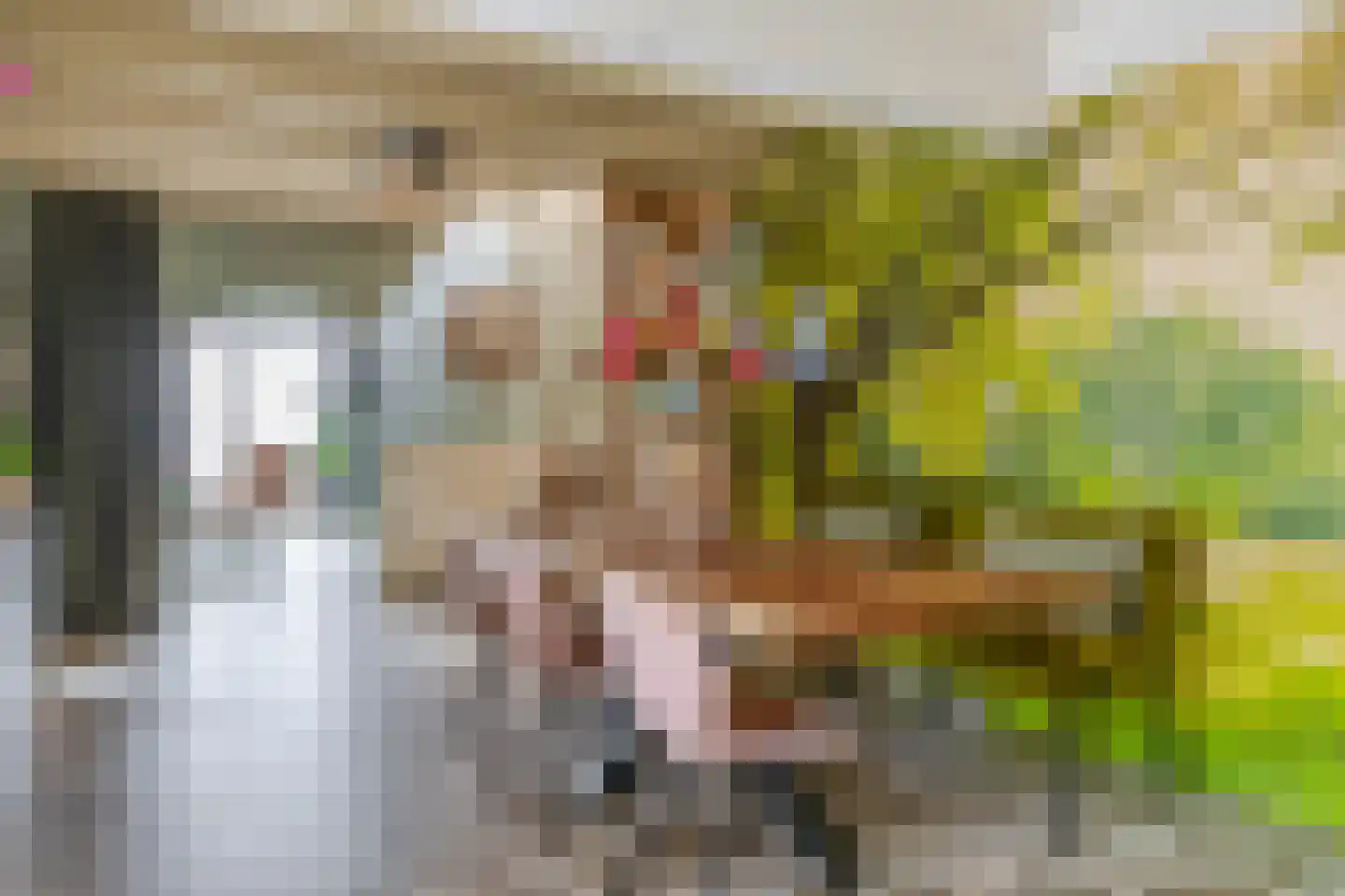 Noordeinde 36 Zwartewaal thumbnail 23