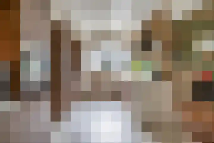 Noordeinde 36 Zwartewaal thumbnail 25
