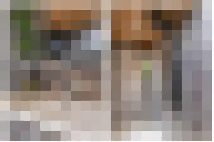 Noordeinde 36 Zwartewaal thumbnail 31