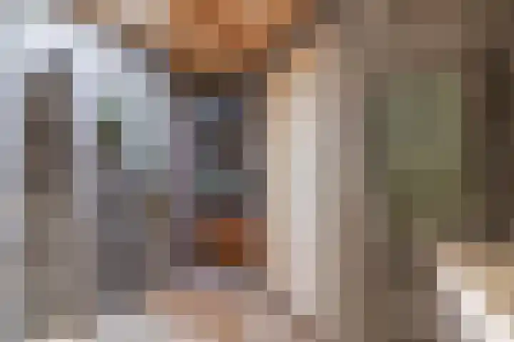 Noordeinde 36 Zwartewaal thumbnail 32