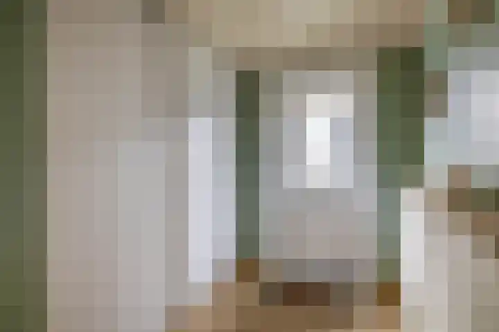 Noordeinde 36 Zwartewaal thumbnail 33