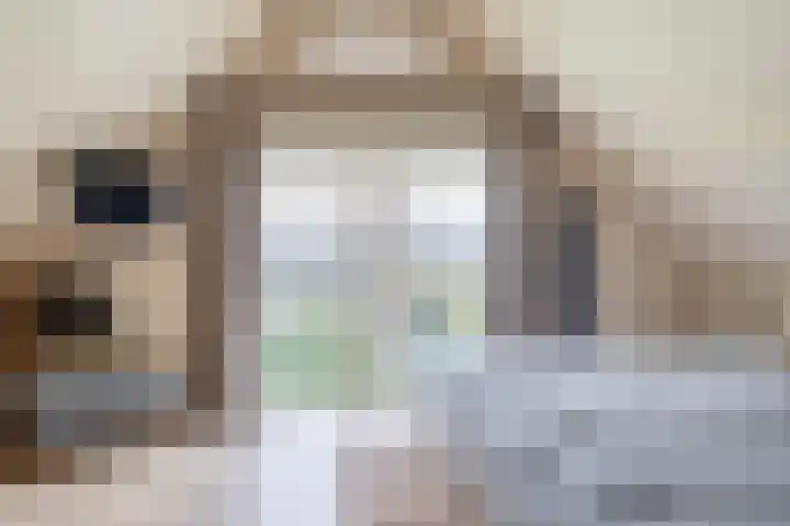 Noordeinde 36 Zwartewaal thumbnail 35