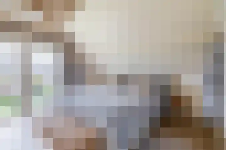 Noordeinde 36 Zwartewaal thumbnail 36