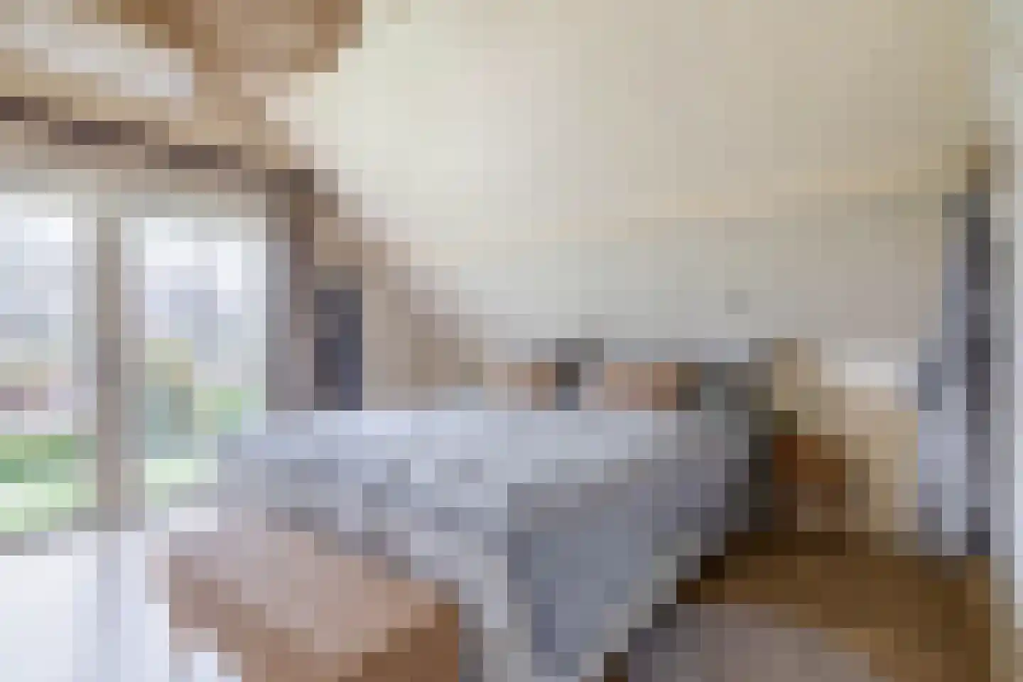 Noordeinde 36 Zwartewaal thumbnail 36
