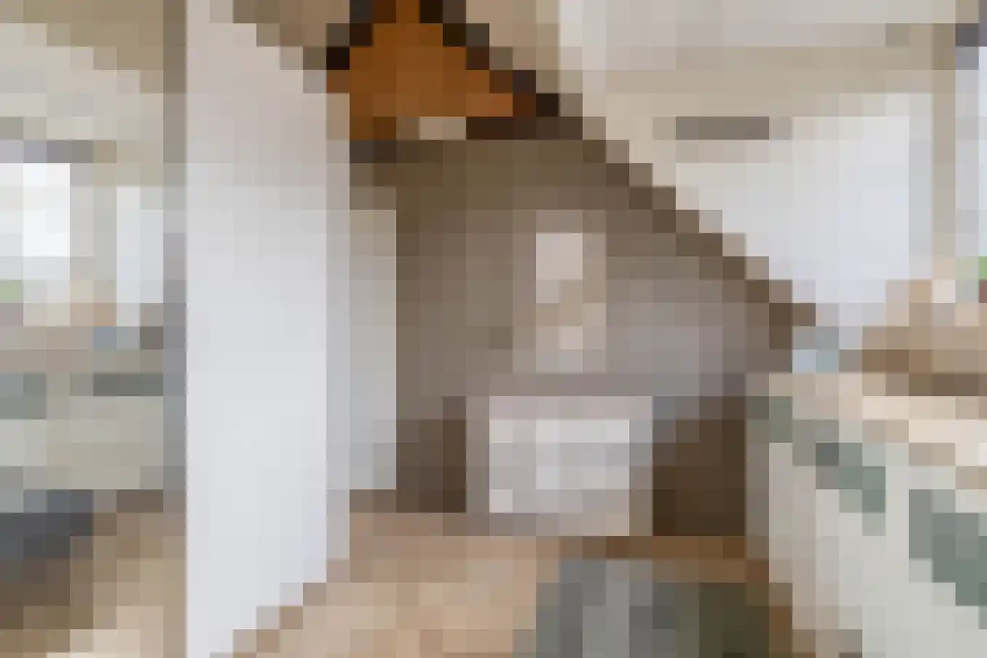 Noordeinde 36 Zwartewaal thumbnail 38