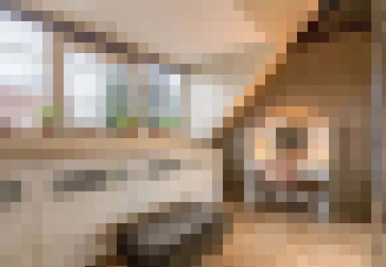 Noordeinde 36 Zwartewaal thumbnail 40