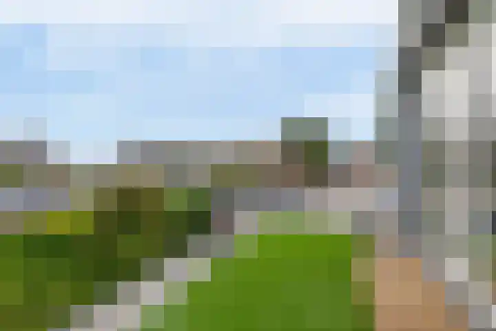 Noordeinde 36 Zwartewaal thumbnail 41