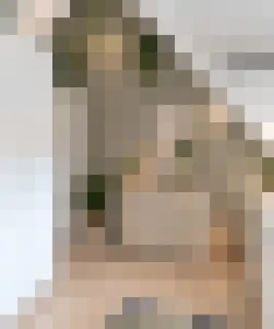 Noordeinde 36 Zwartewaal thumbnail 42