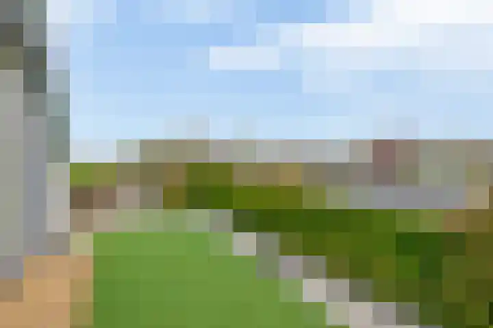 Noordeinde 36 Zwartewaal thumbnail 42