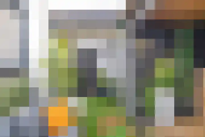 Noordeinde 36 Zwartewaal thumbnail 43