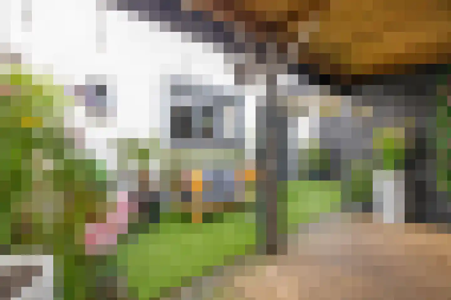 Noordeinde 36 Zwartewaal thumbnail 44