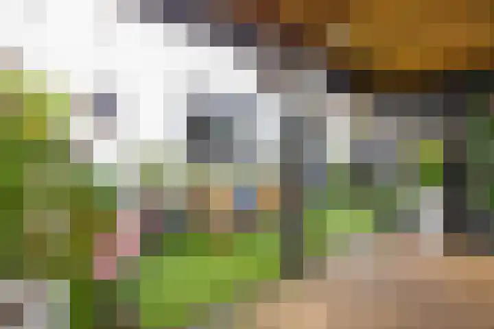 Noordeinde 36 Zwartewaal thumbnail 44