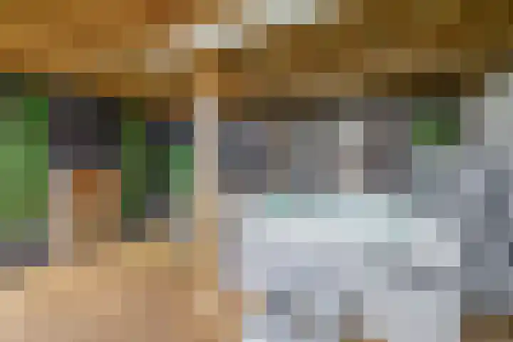 Noordeinde 36 Zwartewaal thumbnail 48