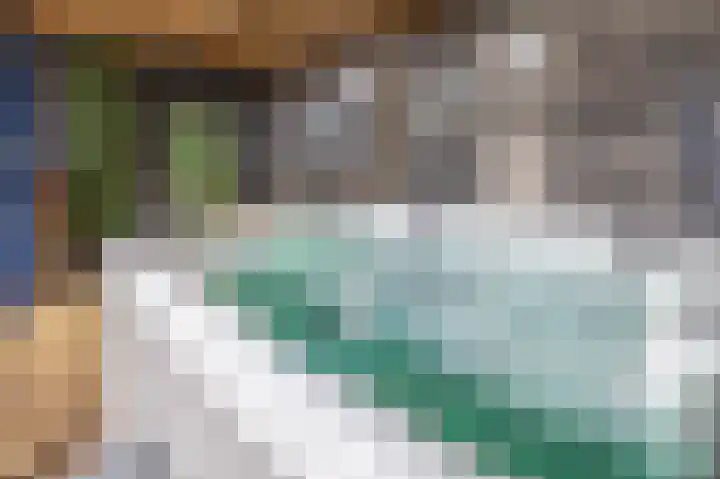 Noordeinde 36 Zwartewaal thumbnail 49