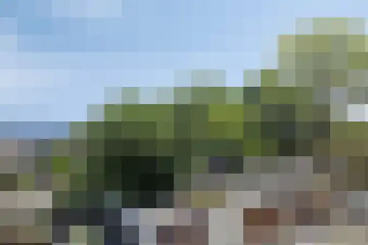 Noordeinde 4 A Meppel thumbnail 35
