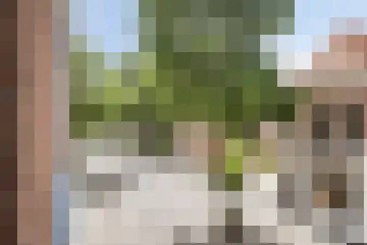 Noordeinde 4 A Meppel thumbnail 36