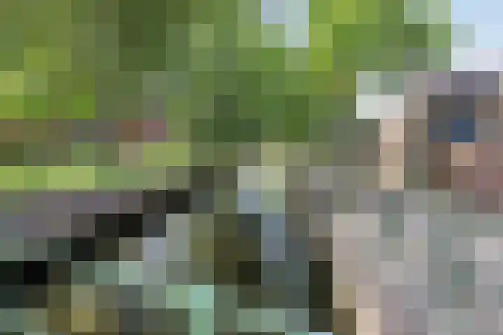 Noordeinde 4 A Meppel thumbnail 38
