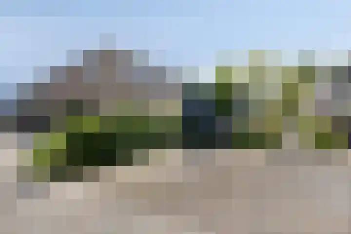 Noordeinde 4 A Meppel thumbnail 39