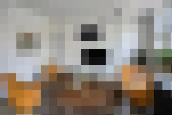 Noordeinde 4 A Meppel thumbnail 5