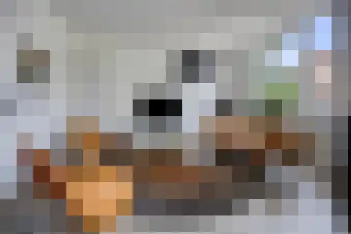 Noordeinde 4 A Meppel thumbnail 7