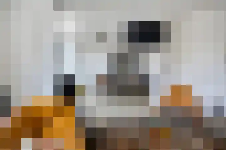 Noordeinde 4 A Meppel thumbnail 9