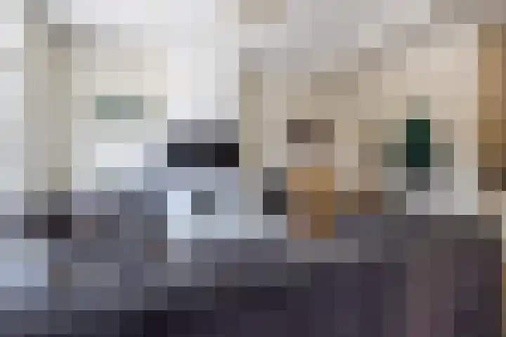 Noordeinde 4 B Rotterdam thumbnail 4