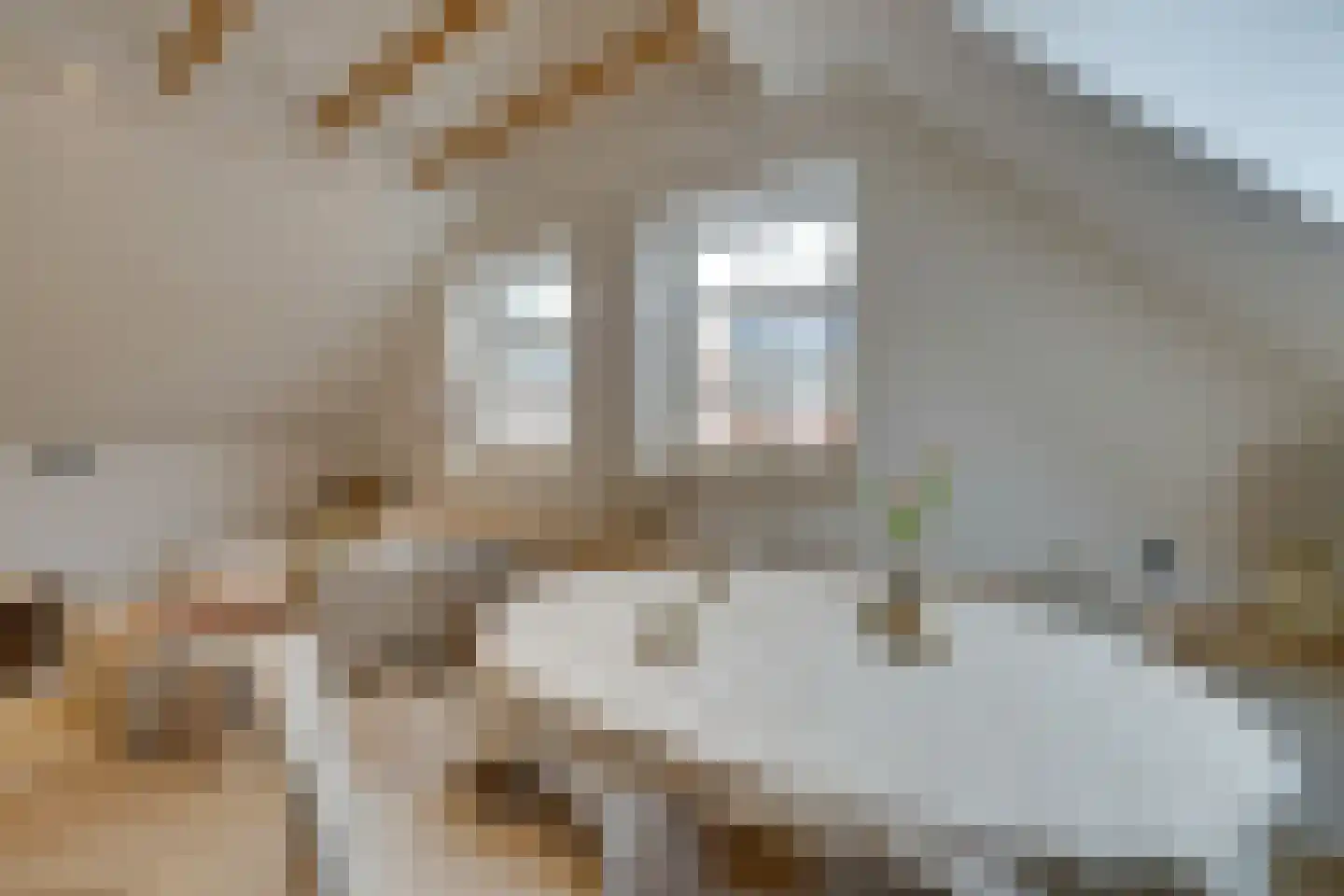 Noordeinde 40 A Monnickendam thumbnail 25