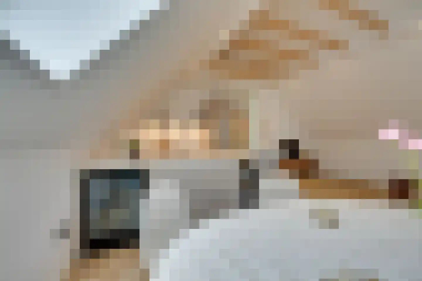 Noordeinde 40 A Monnickendam thumbnail 27