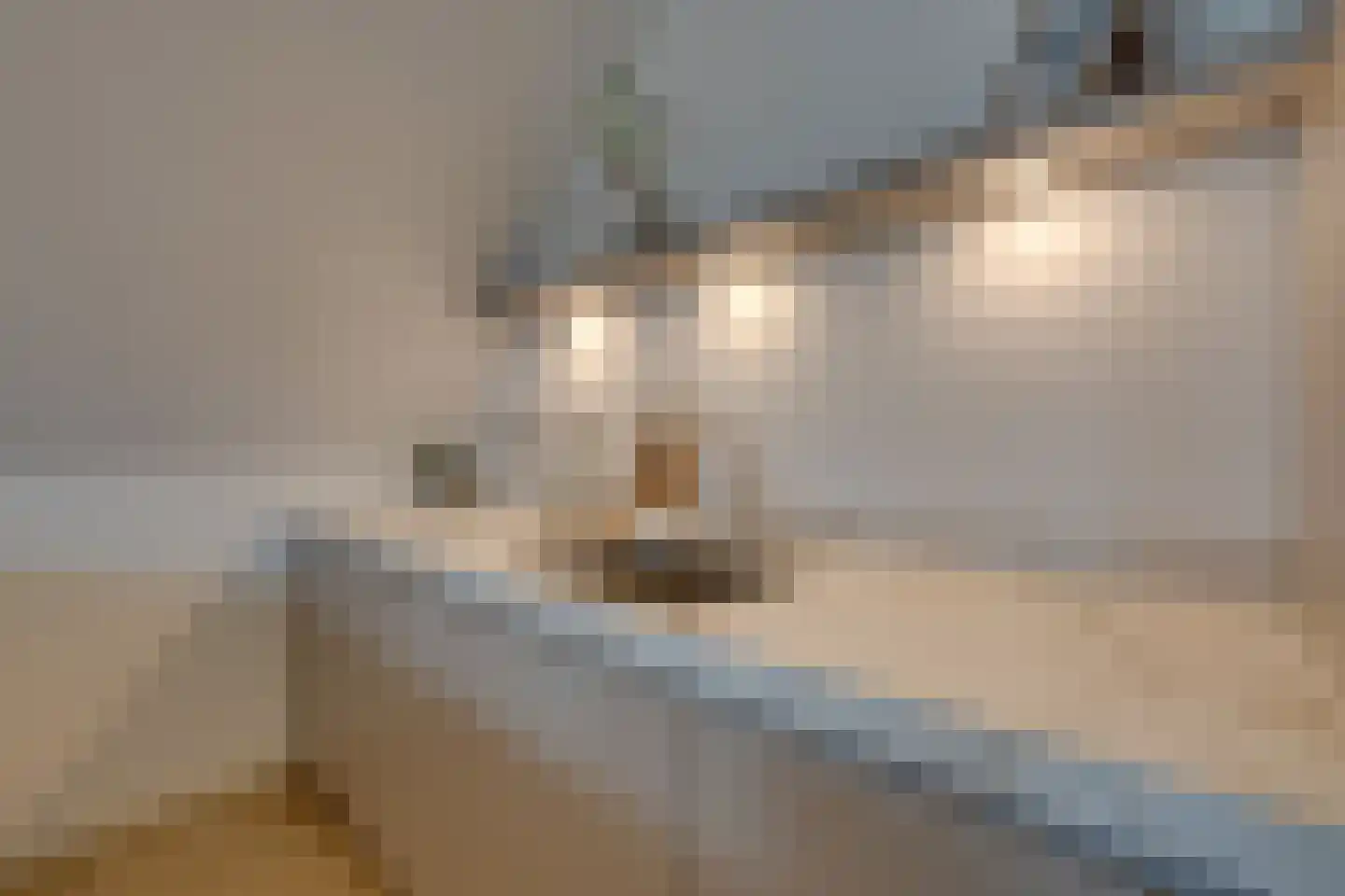 Noordeinde 40 A Monnickendam thumbnail 33