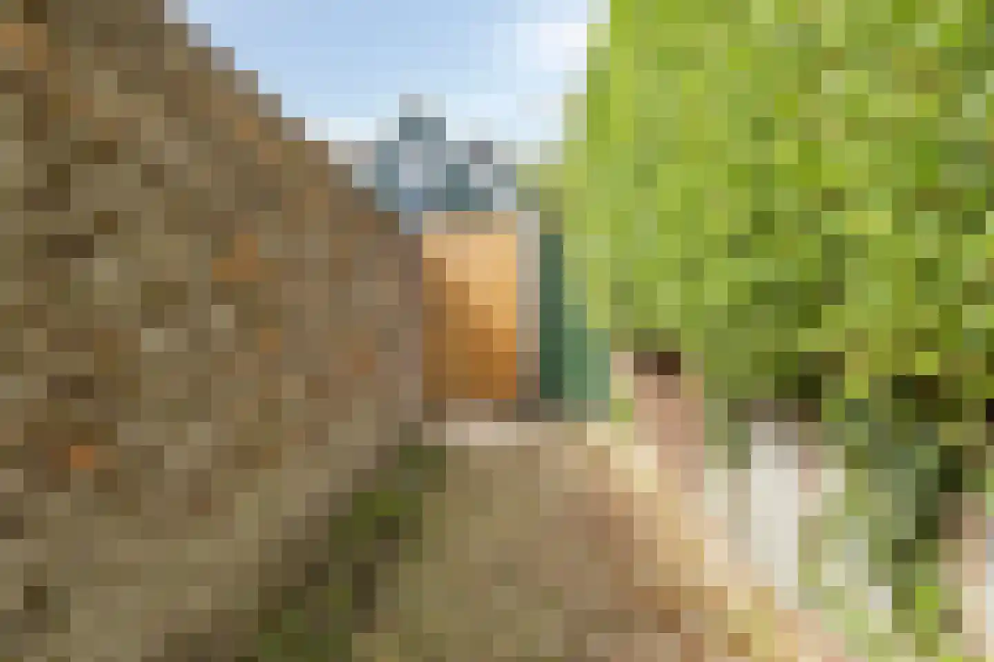Noordeinde 40 A Monnickendam thumbnail 39