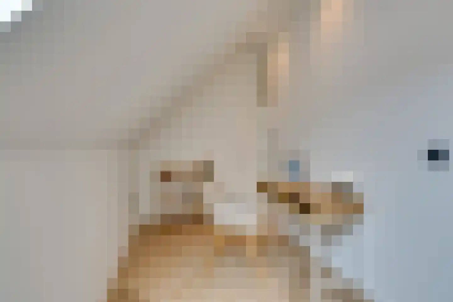 Noordeinde 40 A Monnickendam thumbnail 43