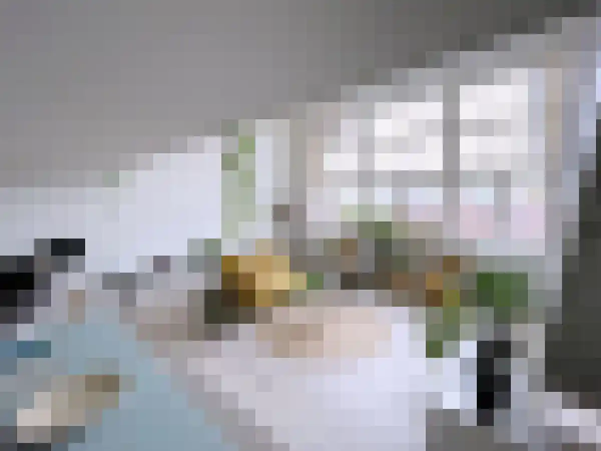 Noordeinde 40 Leiden thumbnail 4