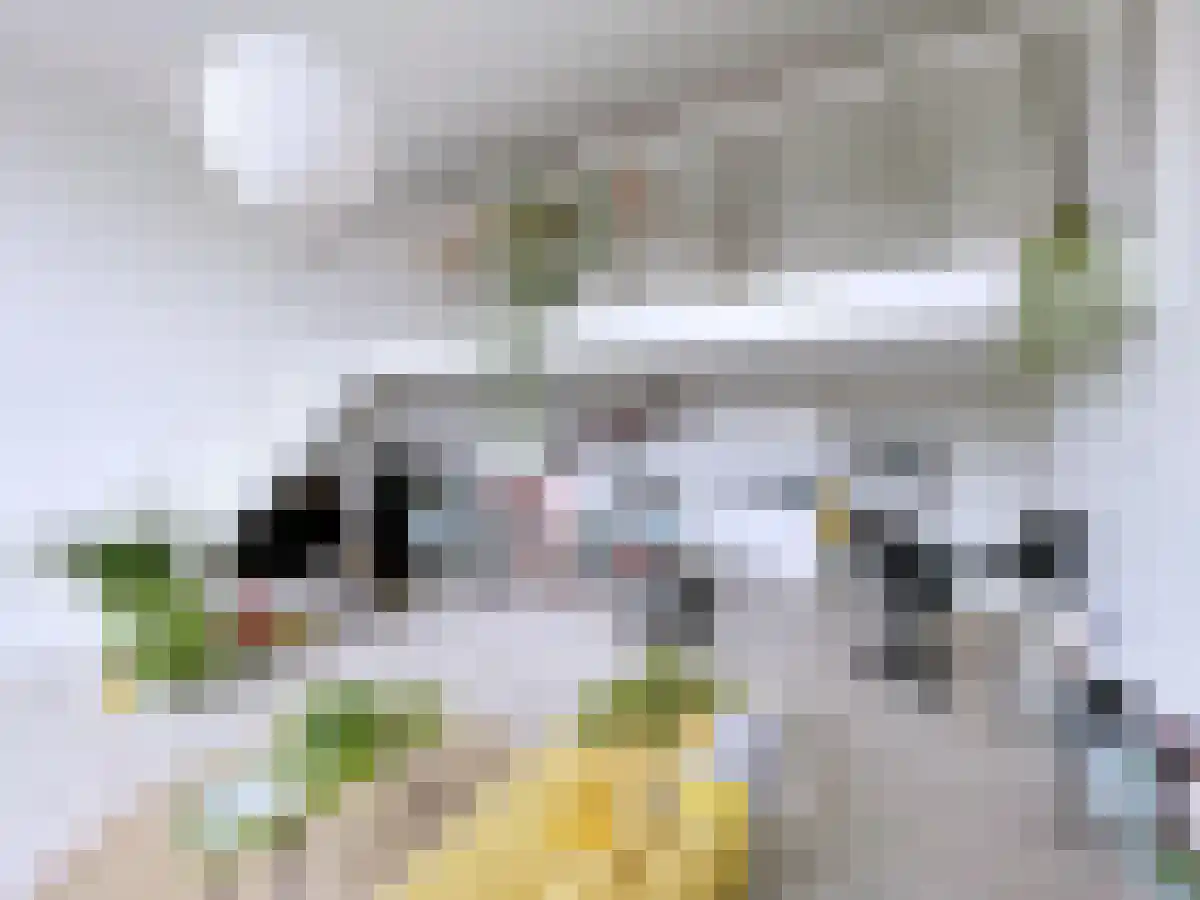 Noordeinde 40 Leiden thumbnail 5