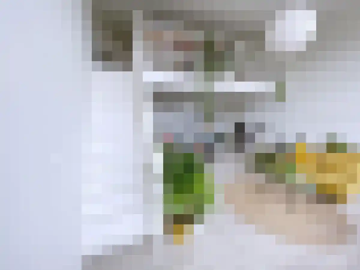 Noordeinde 40 Leiden thumbnail 6