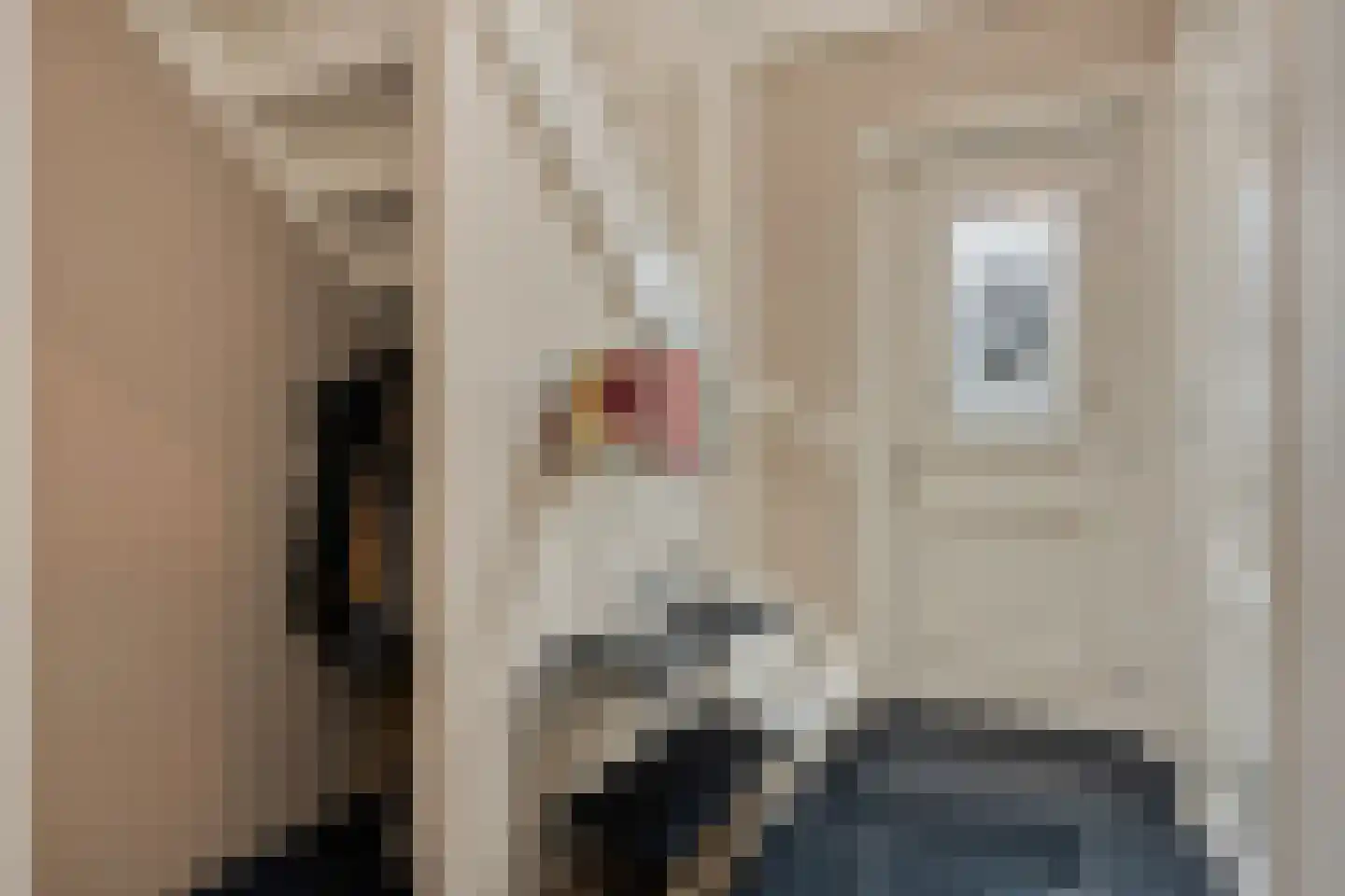 Noordeinde 43 Lambertschaag thumbnail 15