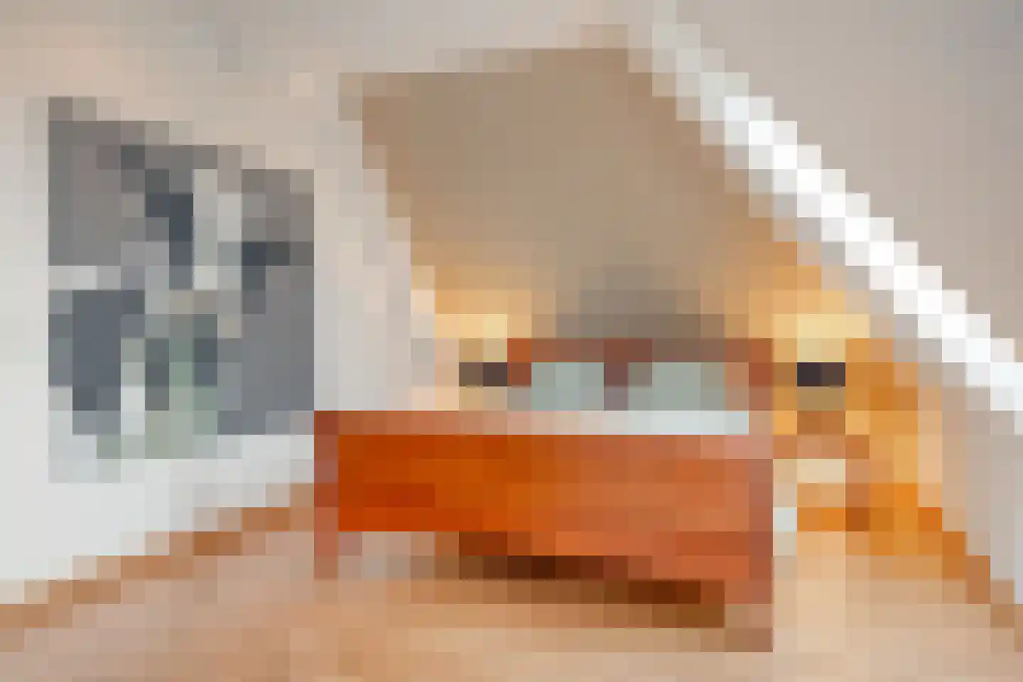 Noordeinde 43 Lambertschaag thumbnail 29